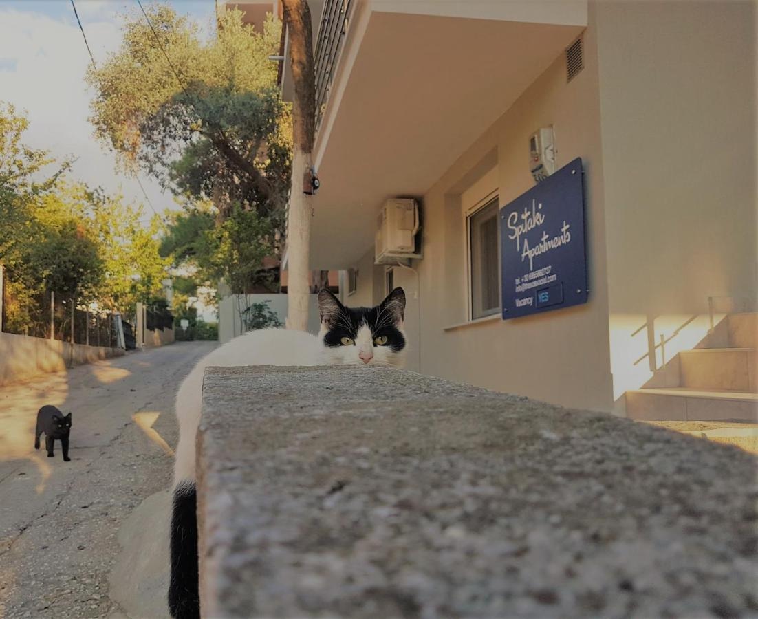 Spitaki Apartments Potos Exterior photo